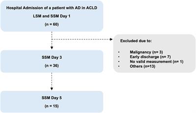 Spleen stiffness measurements during recompensation in patients with acutely decompensated liver cirrhosis: preliminary findings of a pilot study